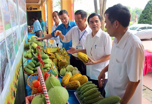 Thẩm định kết quả thực hiện Chương trình xây dựng nông thôn mới