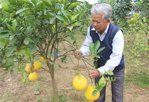 “Điểm tựa” cho hội viên phát triển kinh tế 