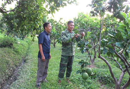 Đảng viên trẻ nhiệt tình, trách nhiệm