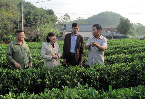 Gặp Bí thư Đảng ủy miệng nói tay làm
