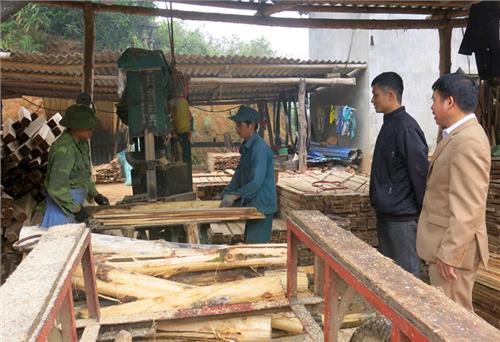 Dưới những tán rừng ở Đồng Danh