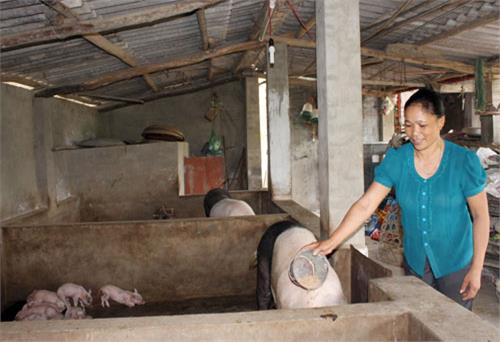 Góp phần chăm lo cho người nghèo
