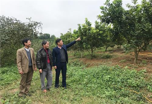 Vận động nhân dân vươn lên làm giàu