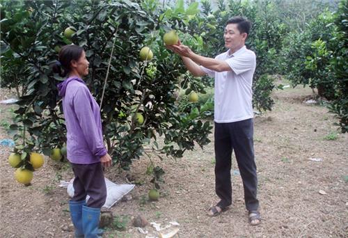 Những cử nhân trẻ 