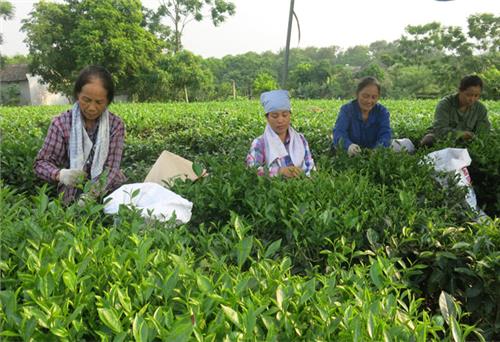 Khó hoàn thành chỉ tiêu kết nạp đảng viên