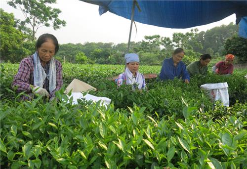 Nhân sự cấp ủy có tính kế thừa và phát triển