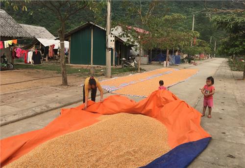 Quan tâm phòng, chống suy dinh dưỡng cho trẻ em