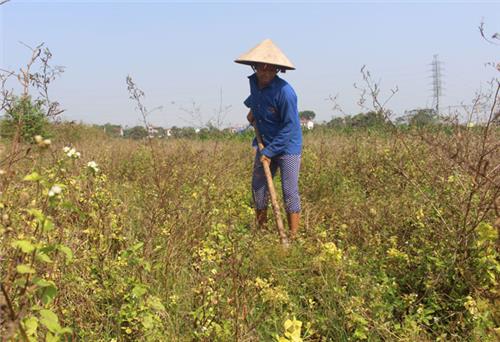 Xóm Bắc thiếu nước sản xuất nông nghiệp