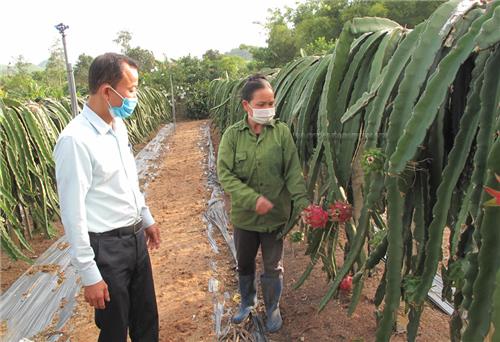 Đảng bộ xã Hợp Tiến nhìn thẳng vào hạn chế để khắc phục