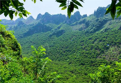 “Thung lũng bạc tỷ” của nông dân La Hiên