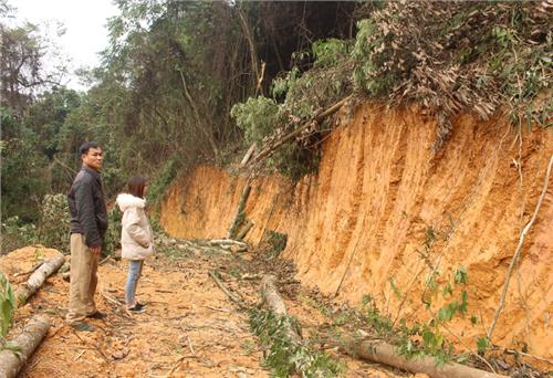 Xung quanh việc tranh chấp đất rừng ở Cầu Mai