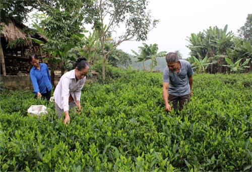 Vốn cho hộ chính sách