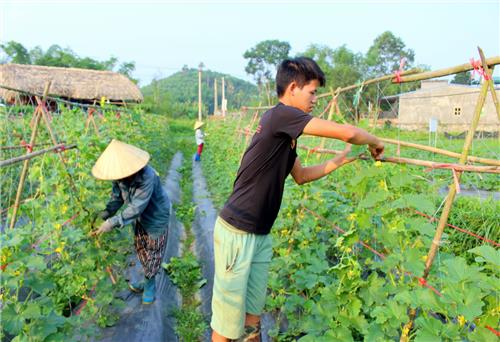 Chàng trai 9x say mê với nông sản sạch