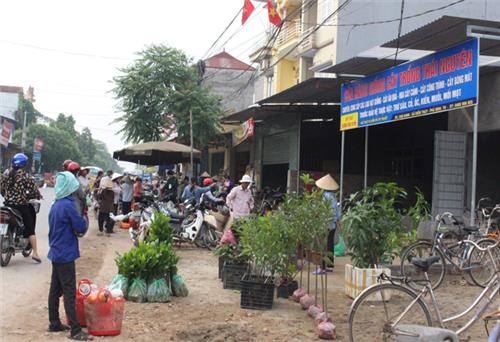 Điềm Thụy khuyến khích phát triển thương mại, dịch vụ