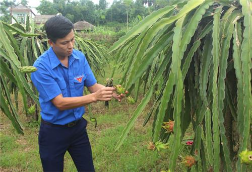 Trí thức trẻ về làng