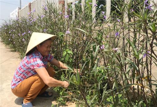 Nữ trưởng xóm tâm huyết với công tác xã hội