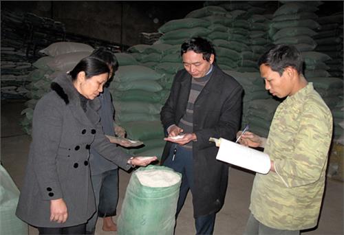 Thị trường phục vụ tết: Không còn nỗi lo trữ hàng từ sớm