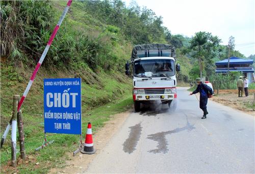 Định Hóa: Thêm 9 xã, thị trấn xuất hiện ổ dịch tả lợn châu Phi           