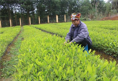 Bước tiến mới sau nửa nhiệm kỳ