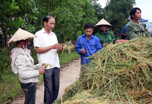 Giải pháp nâng cao chất lượng cán bộ