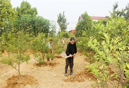 Nỗ lực để hoàn thành mục tiêu chung 