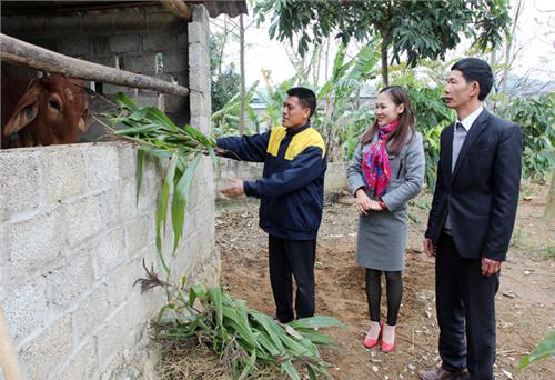 Hướng tới mục tiêu giảm nghèo bền vững