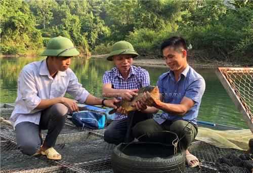 Huyện vùng cao Võ Nhai tiếp tục tiến bước