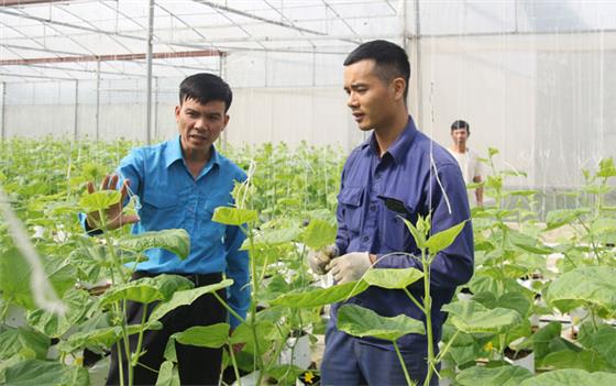 Chàng trai 9x với ước mơ làm nông nghiệp sạch