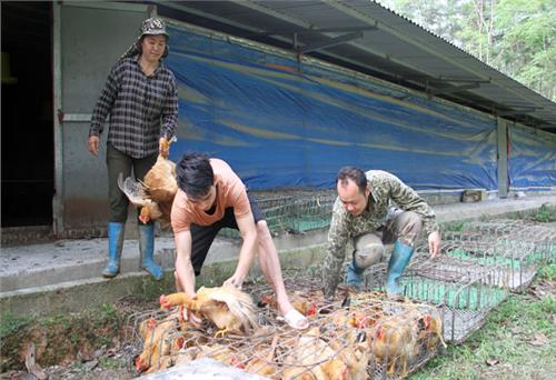 Chuyện về gia đình 