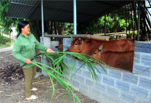 Nỗ lực giảm nghèo bền vững 