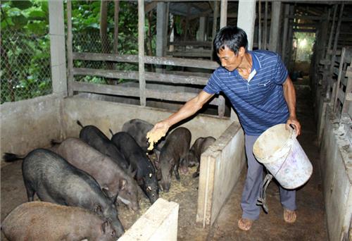 Người đi đầu trong các phong trào ở Văn Lương 2 