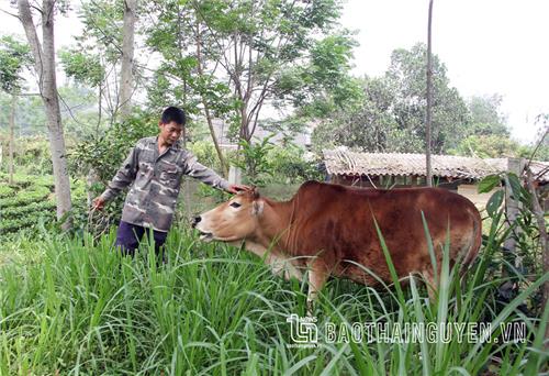 Về Tức Tranh  nghe chuyện giảm nghèo