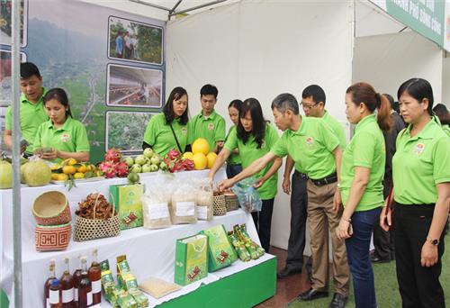 Đưa nông sản lên sàn thương mại điện tử