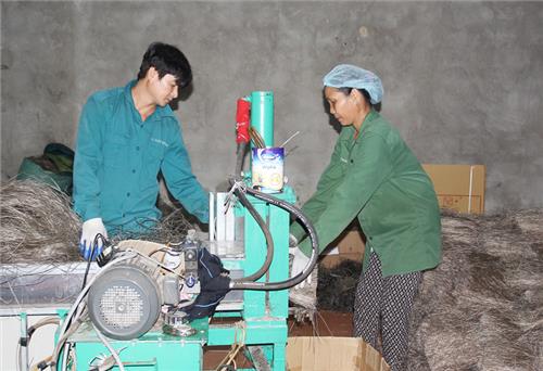 Cấp mới đăng ký kinh doanh cho gần 300 doanh nghiệp
