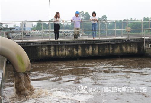 Bảo vệ môi trường: Tiền đề cho phát triển bền vững