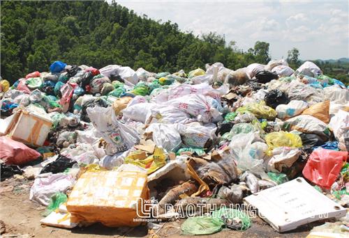 Phát hiện tình trạng đổ trộm xác động vật tại bãi rác Phúc Thành