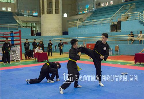 Trao 37 bộ huy chương cho vận động viên Taekwondo, Võ cổ truyền