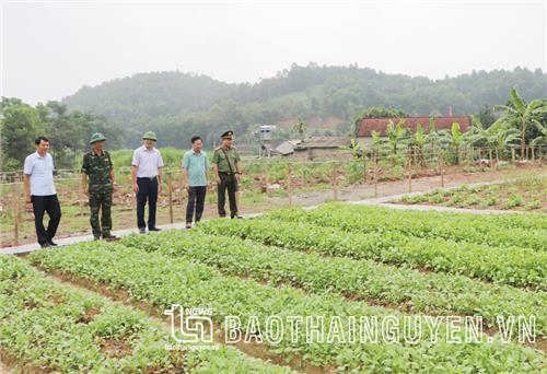 Cơ bản hoàn thành chuẩn bị diễn tập Khu vực phòng thủ TP. Phổ Yên