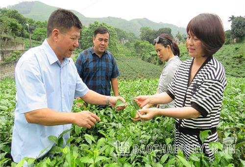 Khoa học công nghệ: Động lực phát triển kinh tế - xã hội