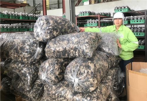 Chủ động phòng ngừa tai nạn lao động