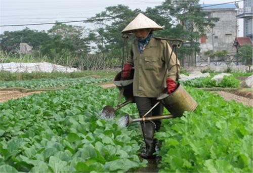 Hình thành ý thức từ việc làm nhỏ nhất