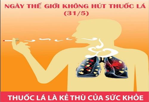 Tăng cường thực thi Luật Phòng, chống tác hại của thuốc lá và hưởng ứng ngày Thế giới không thuốc lá, Tuần lễ Quốc gia không thuốc lá