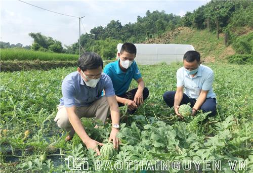 Khẳng định vai trò là động lực trong phát triển