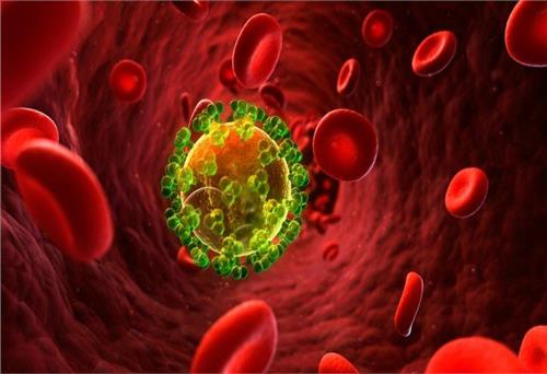 Nơi khởi nguồn của đại dịch thế kỷ HIV/AIDS