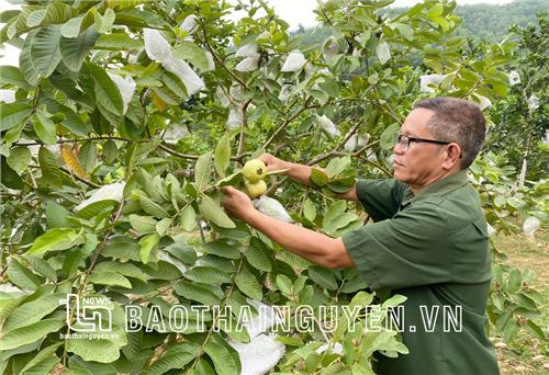 Khởi nghiệp không khi nào là muộn