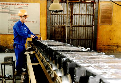 Phấn đấu hoàn thành tốt các chỉ tiêu sản xuất