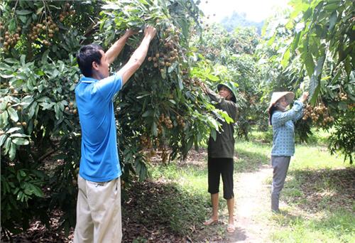 Huy động vốn ủy thác từ doanh nghiệp: Kinh nghiệm của Võ Nhai