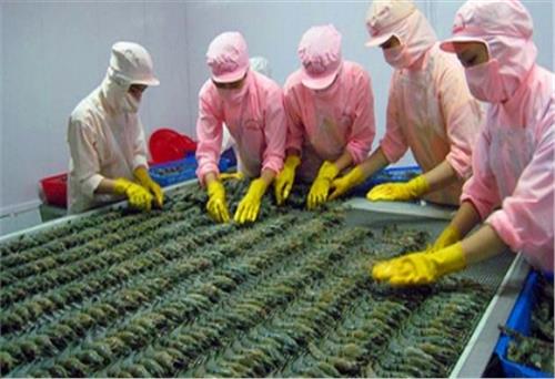 Xuất khẩu tôm tăng 45% trong tháng 7