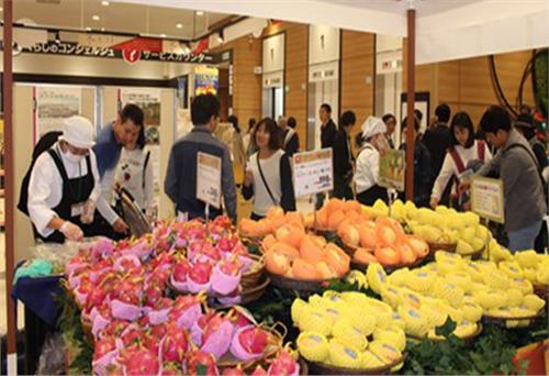 Xoài Cát Chu Việt Nam chính thức vào thị trường Nhật Bản