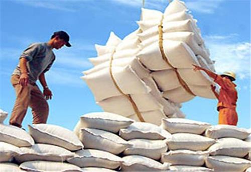 Hiệp hội Lương thực Việt Nam điều chỉnh giá xuất khẩu gạo